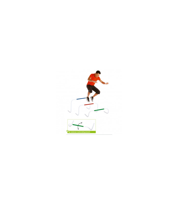 HAIE BASCULANTE 26CM