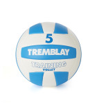 BALLON TRAINING VOLLEY TAILLE 5